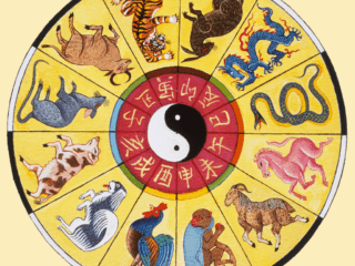 Chinese Astrology Explained