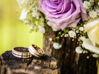 Photo by Goran Vrakela on <a href="https://www.pexels.com/photo/close-up-photography-of-wedding-rings-near-purple-rose-230291/" rel="nofollow">Pexels.com</a>