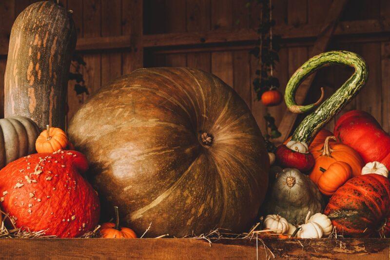 pumpkin, harvest, autumn