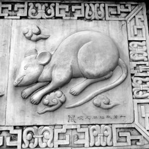 rat, chinese, symbol