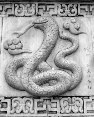 si, snake, oriental